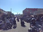 2015 Oyster run