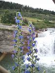 Canadian Rockies